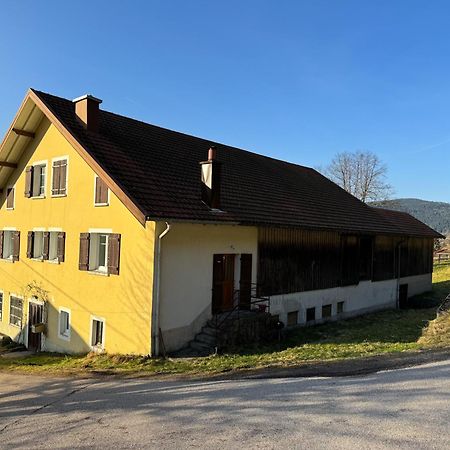 Chalet Cosy Lisiere De Foret Xonrupt-Longemer Dış mekan fotoğraf