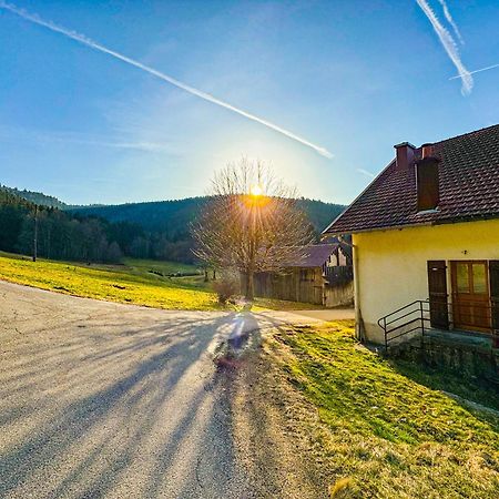 Chalet Cosy Lisiere De Foret Xonrupt-Longemer Dış mekan fotoğraf