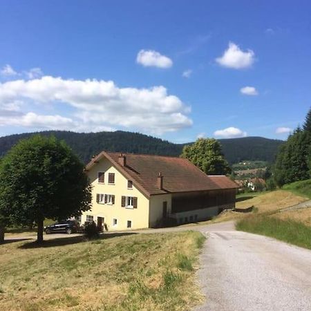 Chalet Cosy Lisiere De Foret Xonrupt-Longemer Dış mekan fotoğraf
