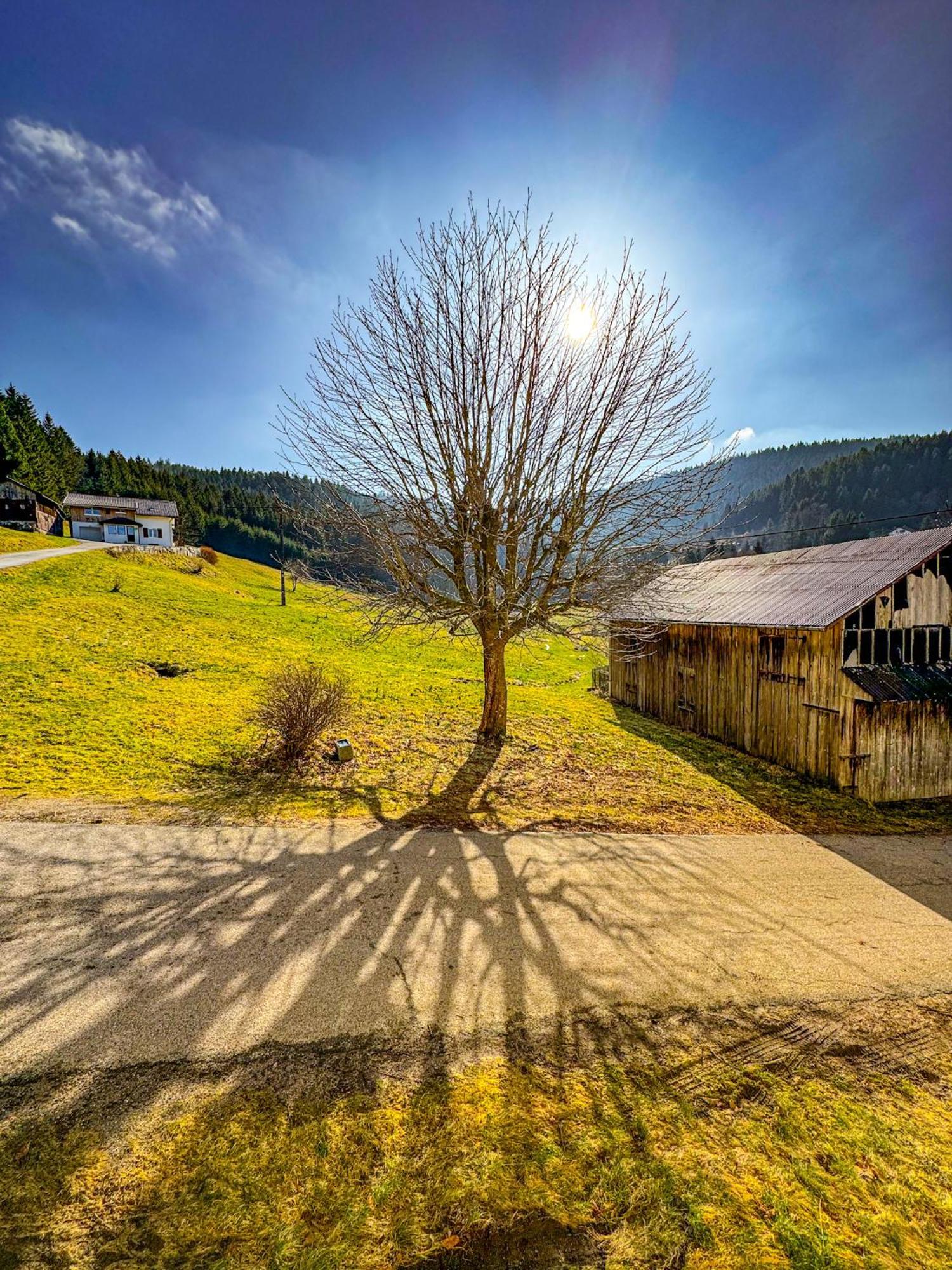 Chalet Cosy Lisiere De Foret Xonrupt-Longemer Dış mekan fotoğraf