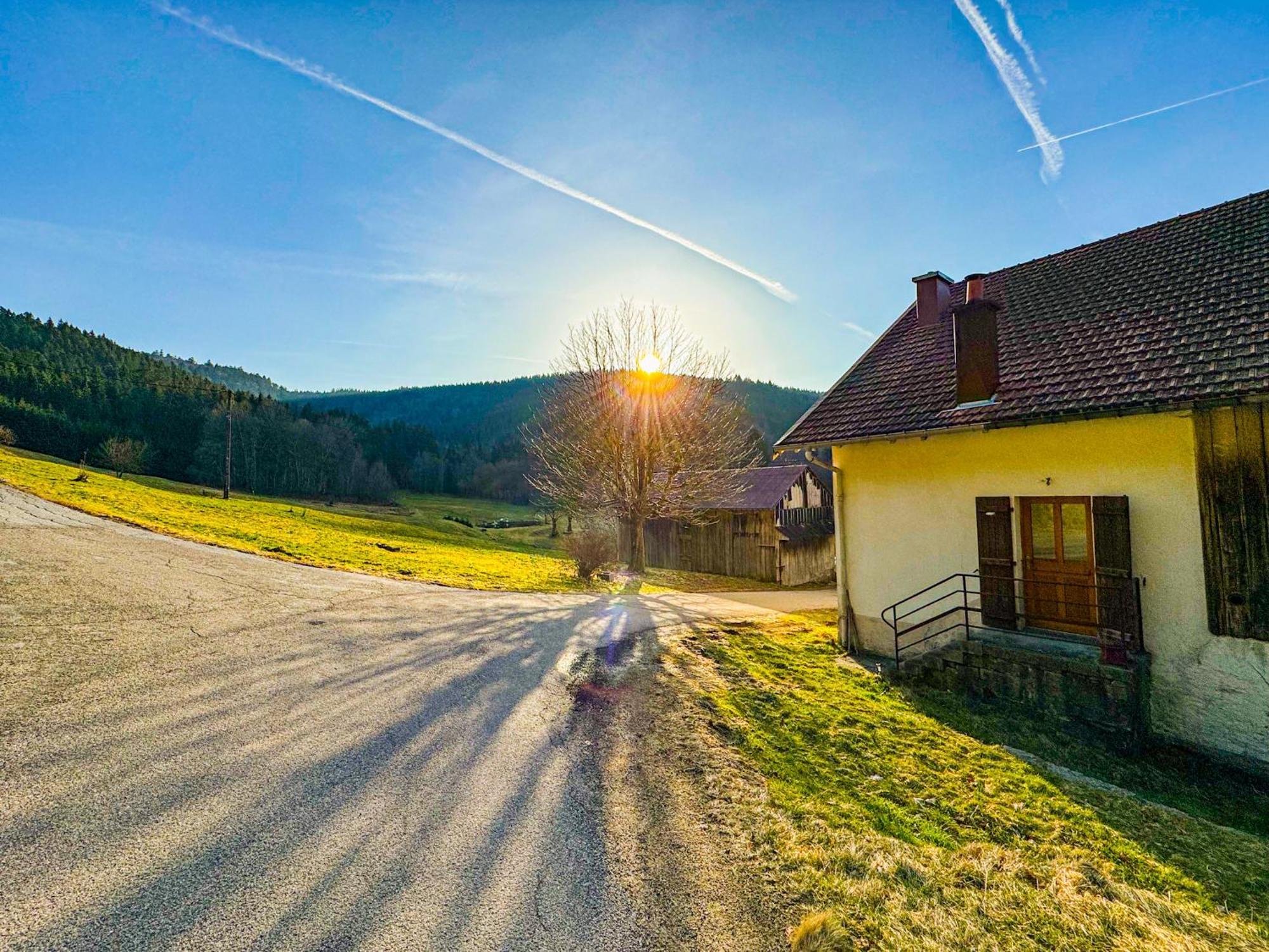 Chalet Cosy Lisiere De Foret Xonrupt-Longemer Dış mekan fotoğraf