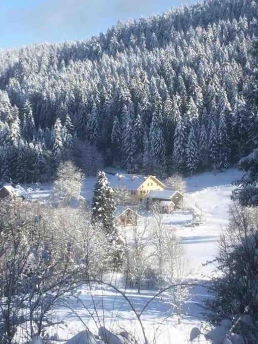 Chalet Cosy Lisiere De Foret Xonrupt-Longemer Dış mekan fotoğraf