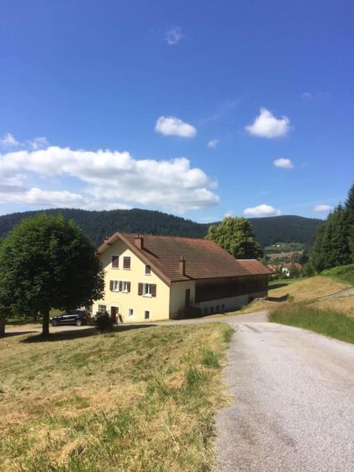 Chalet Cosy Lisiere De Foret Xonrupt-Longemer Dış mekan fotoğraf