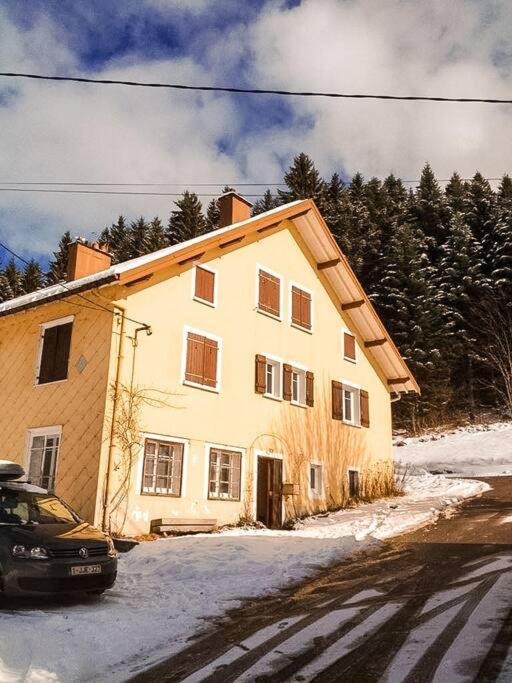 Chalet Cosy Lisiere De Foret Xonrupt-Longemer Dış mekan fotoğraf