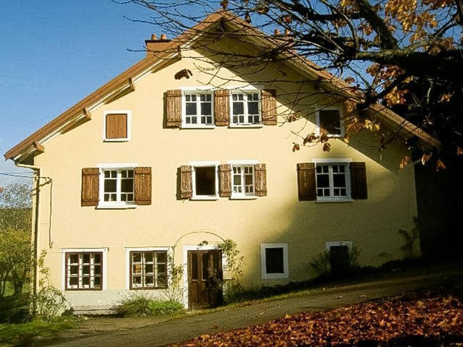 Chalet Cosy Lisiere De Foret Xonrupt-Longemer Dış mekan fotoğraf