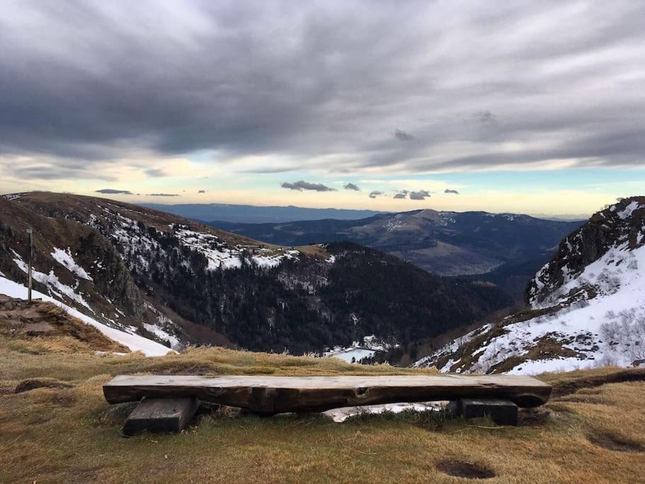 Chalet Cosy Lisiere De Foret Xonrupt-Longemer Dış mekan fotoğraf